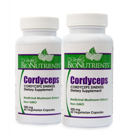 Cordyceps Special - Buy 1 Get 1 Free!